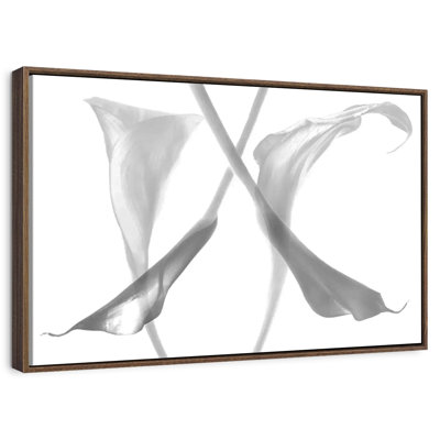 Diaphanous Calla Lilies
