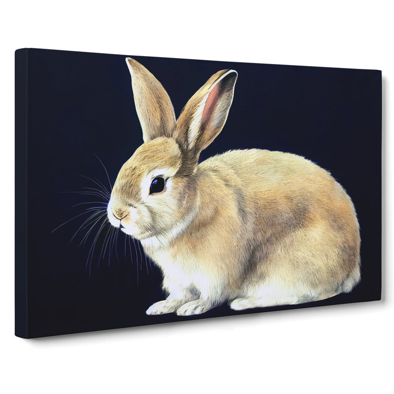 Lone Rabbit - Wrapped Canvas, 50cm H x 76cm W x 3cm D