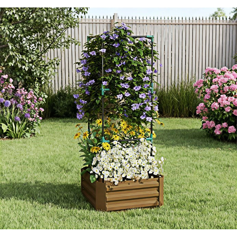 Lit de jardin surélevé galvanisé avec cage, Brun