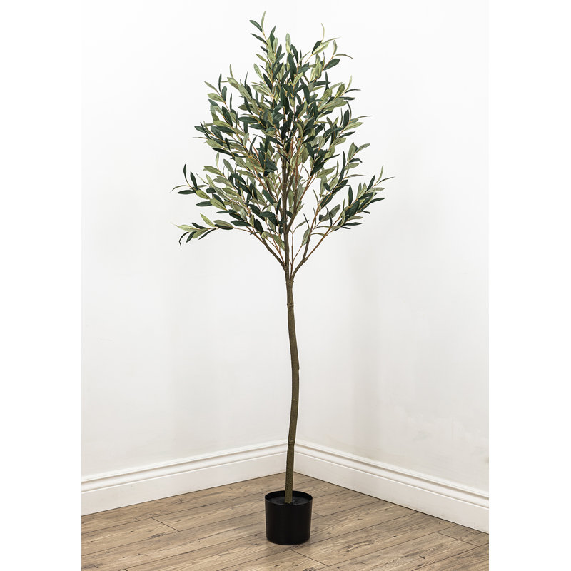 Faux olivier en pot Dore, H 72 po x l 30 po x P 30 po