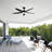 55.96'' Ceiling Fan with LED Lights