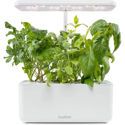 Unité hydroponique Herb Garden