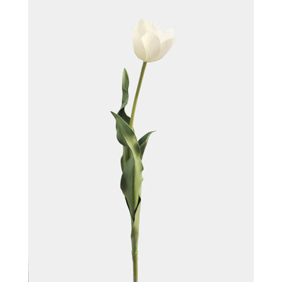 Tulipe blanc crème 22,5 po