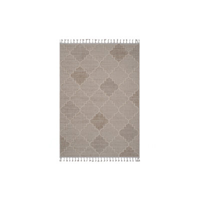 Collection 5X7 Trellis Indoor/Outdoor Area Rug