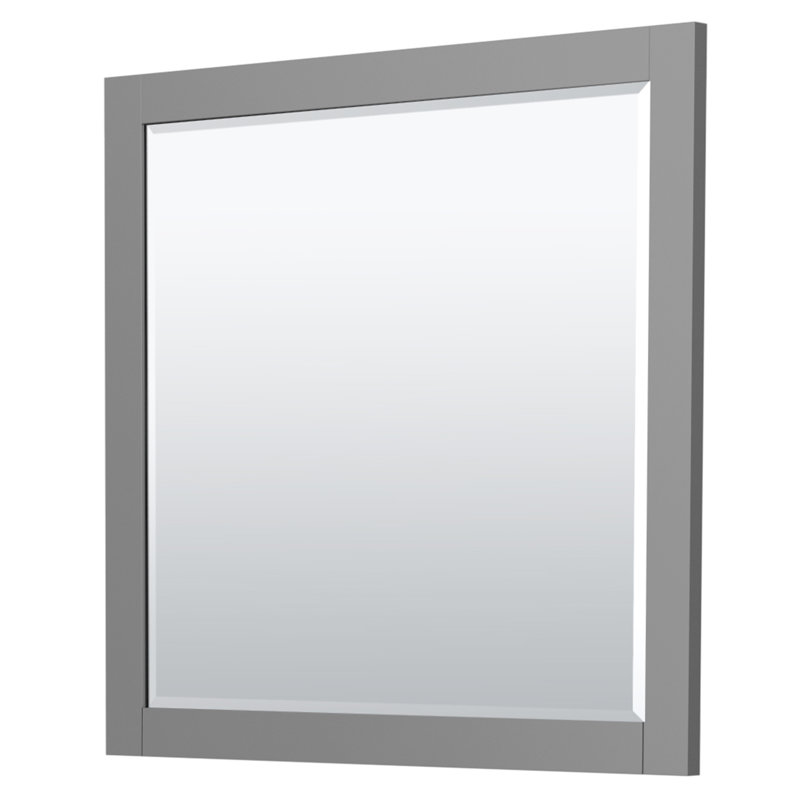 Miranda Dark Gray 41" European Shaker Single Vanity with Mirror