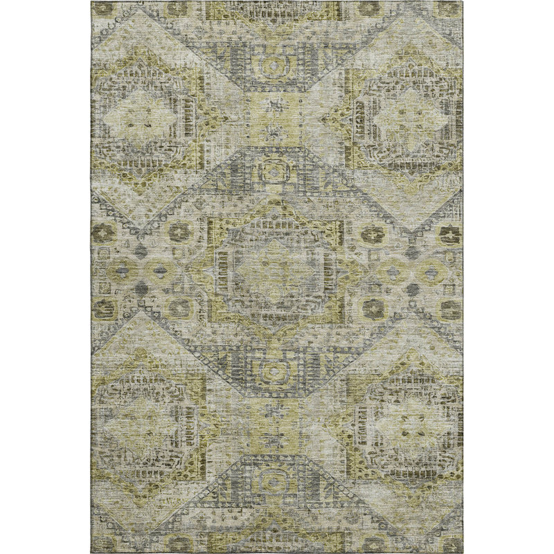 Premium Machine Washable Alaina AMF1929 Global Rug, Rectangle 10' x 14'