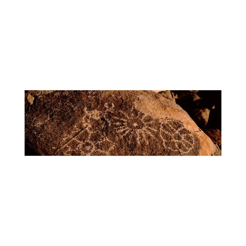 Close-up of Petroglyphs on a Rock, Saguaro National Park, Tucson, Arizona, USA 1 Piece Wrapped Canvas Panoramic Wall Art