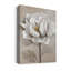 «Soft White II» par Nan - reproduction d'art sur toile tendue-1180671350