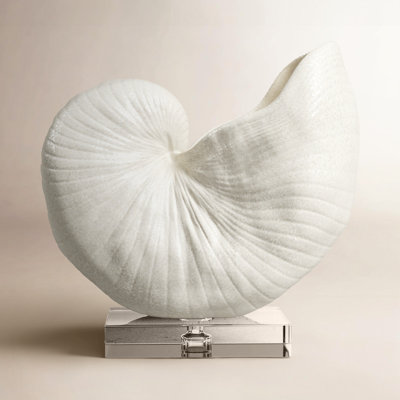 Lakefield Shell Sculpture