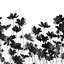 Ozbourn Floral Wallpaper-33397879