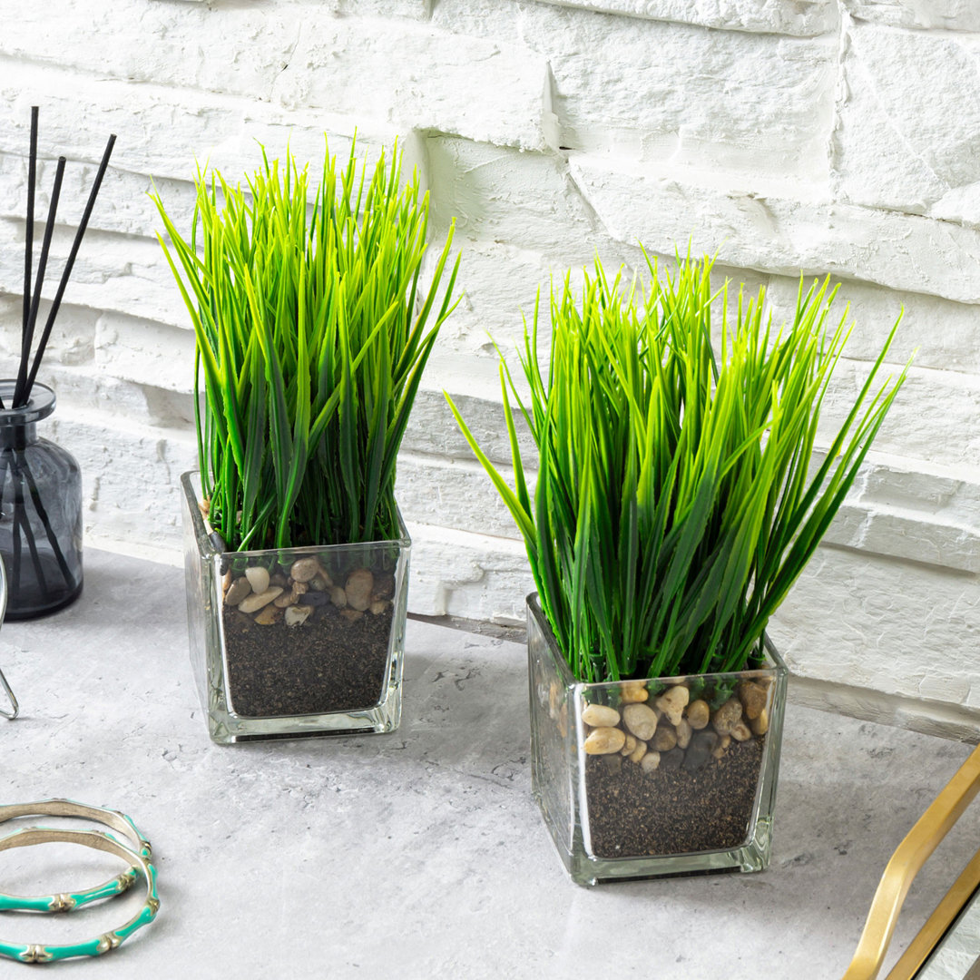 7.87'' Faux Onion Grass Grass in Glass Vase (Set of 2) Primrue