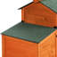 Poulailler orange avec des motifs colorés, une chambre à coucher et une course extérieure pour petits groupes, chambre de repos, animaux à climat contrôlé