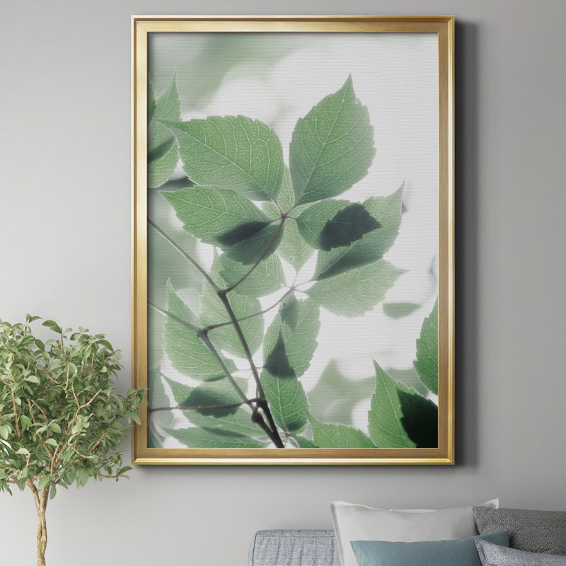 "Fields of Green II" par J Paul - reproduction de photo sur toile encadrée, Doré, H 26,5 po x l 36,5 po x P 1,5 po