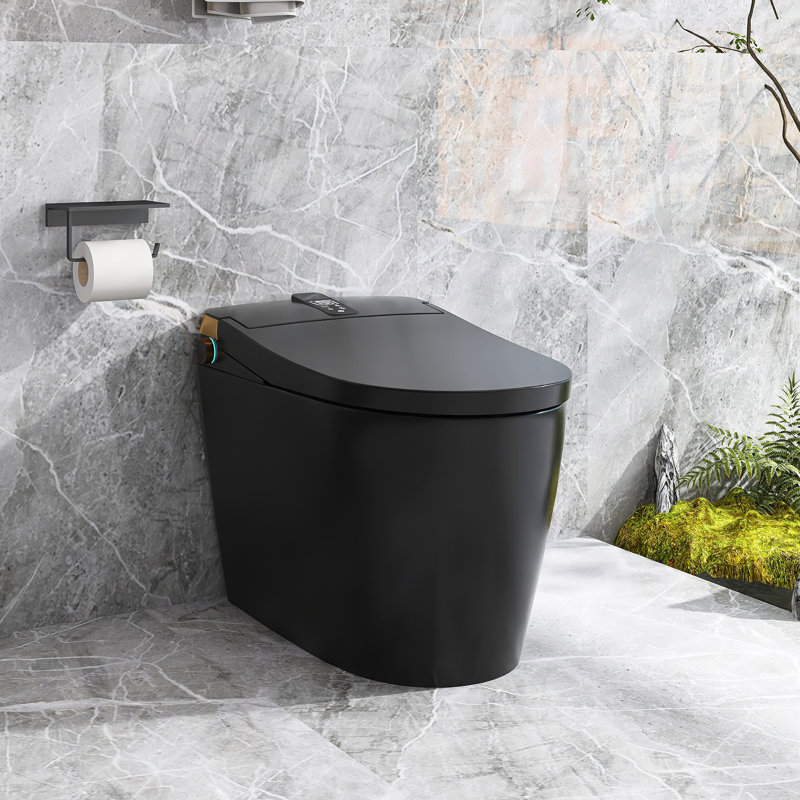 1.28 Gallons GPF Elongated Floor Mounted Back To Wall Toilets (Seat Included), Black