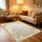 Classic White & Gold carpet-easy to clean, machine-washable, soft and comfortable; suitable for door mats, kitchens, living rooms, bedrooms, corridors, and laundry areas. Easy to clean, durable carpet for home decoration.-1802409712