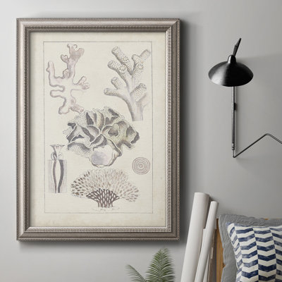 Corail blanc antique IV - reproduction de cadre photo sur toile