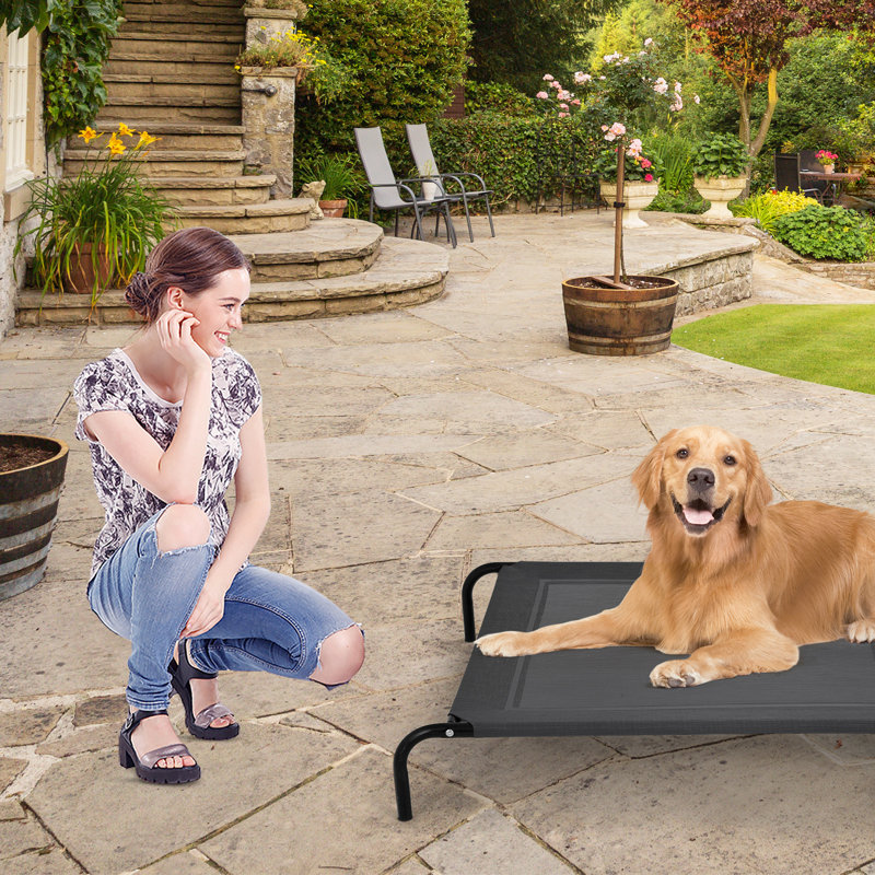 Avalyn Pet Bed