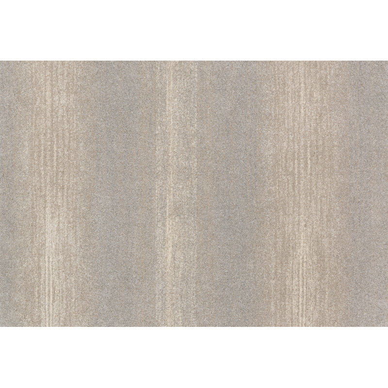 Tapis décoratif grise Aparicio, Rectangulaire 7 pi 7 po x 10 pi 6 po