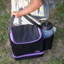 Picnic Backpack-43511861