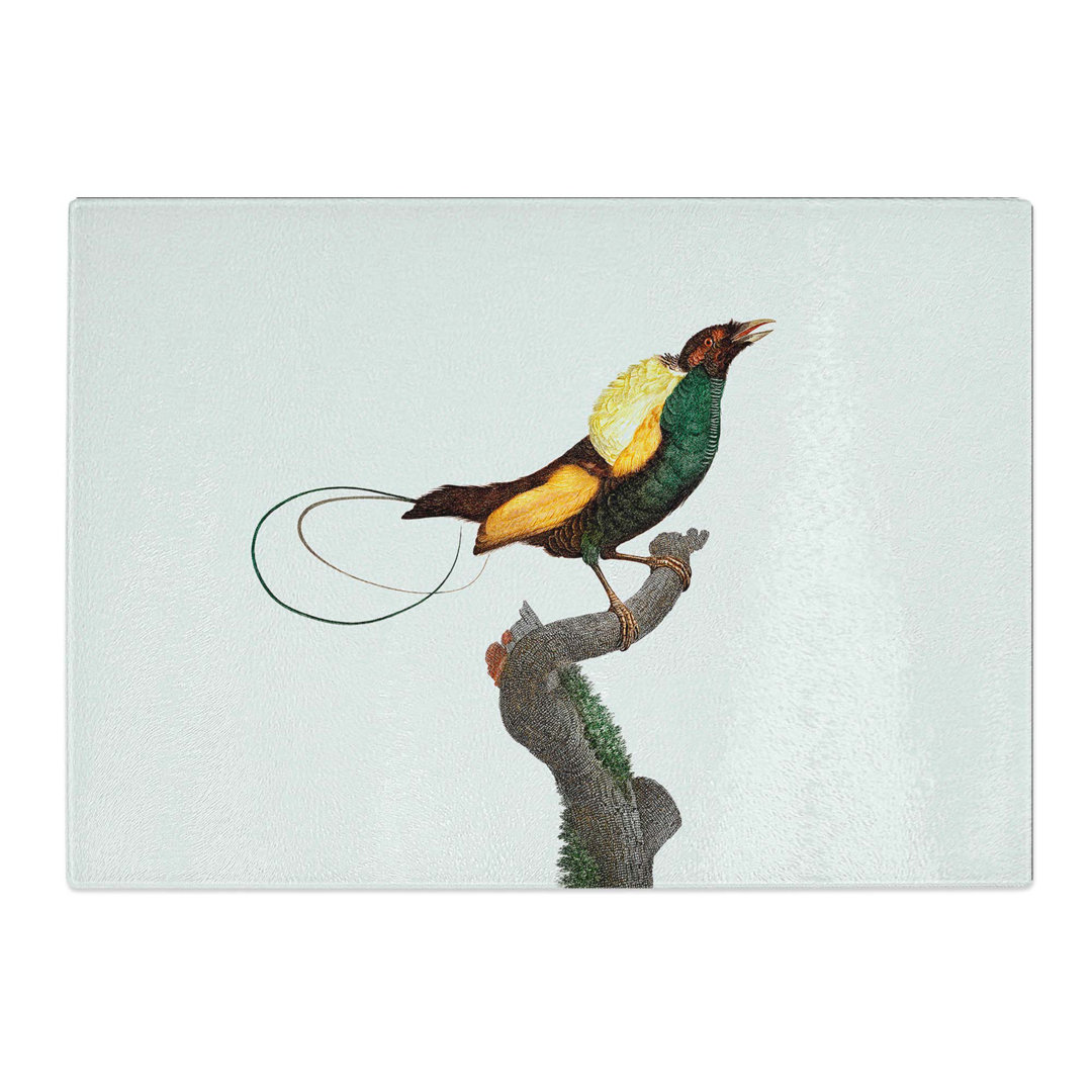 Tempered Glass a Magnificent Bird of Paradise Chopping Board