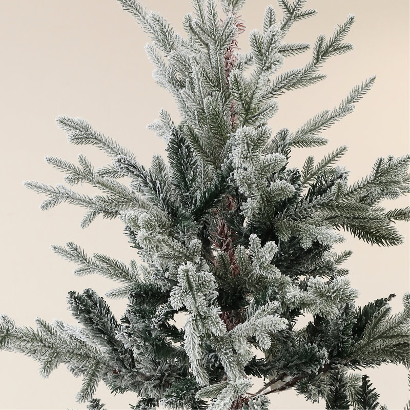 Arbre de Noël 795 795 pi