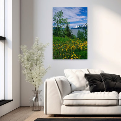 Dandelion Flowers Blooming Along Turnagain Arm Distant Chugach Mountains Alaska Usa. Abstract Contemporary Dandelion Flower Landscape Art