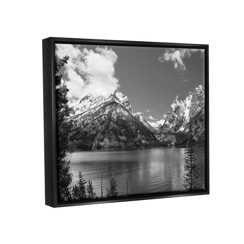 «Nature Pond Landscape» par Steve Toole, Cadre flottant noir de jais, H 25 po x l 31 po x P 1,7 po