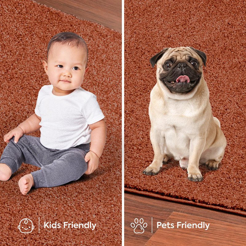 Modern Plush Pet and Kids Friendly Solid Color Rust Area Rugs, Stain & Fade Resistance, Perfect for Living Room, Dining Room, Bedroom, Playroom and Kidsroom, Event, Wedding, Amberrose Binded Rug