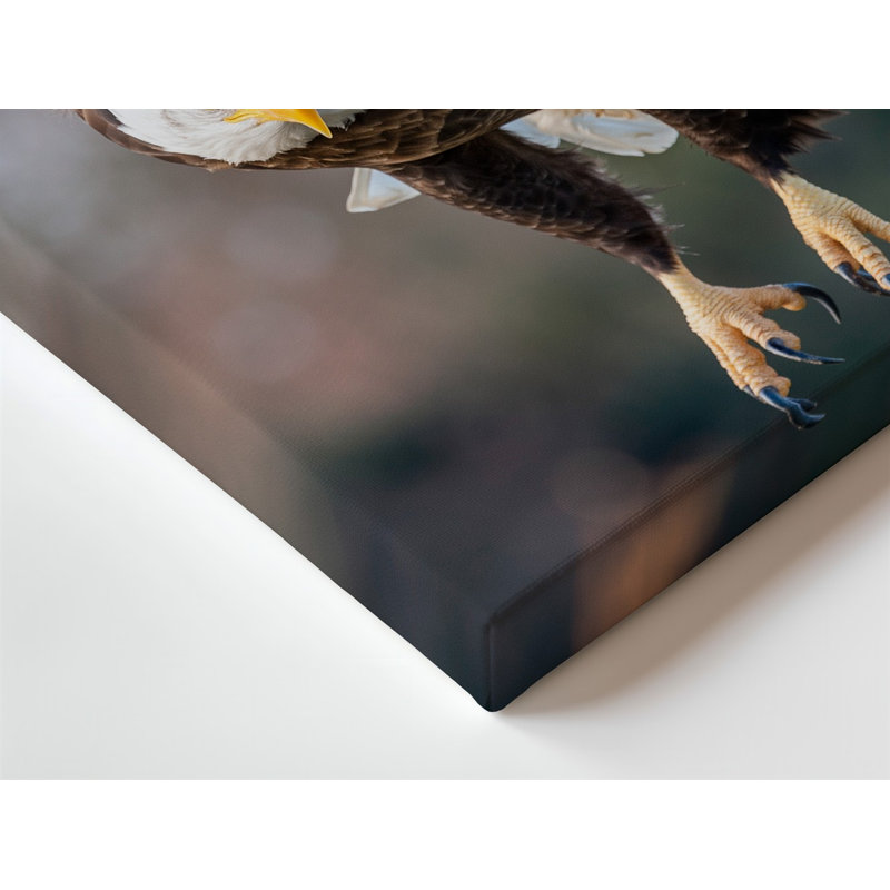 Toile, Aigle chauve majestueux en vol, H 18 po x l 24 po