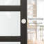 Porte coulissante - Porte intérieure en panneau de fibres à densité moyenne noire en verre givré 5 Lite avec poignées intégrées et quincaillerie coulissante en aluminium lisse-111767826-121325139