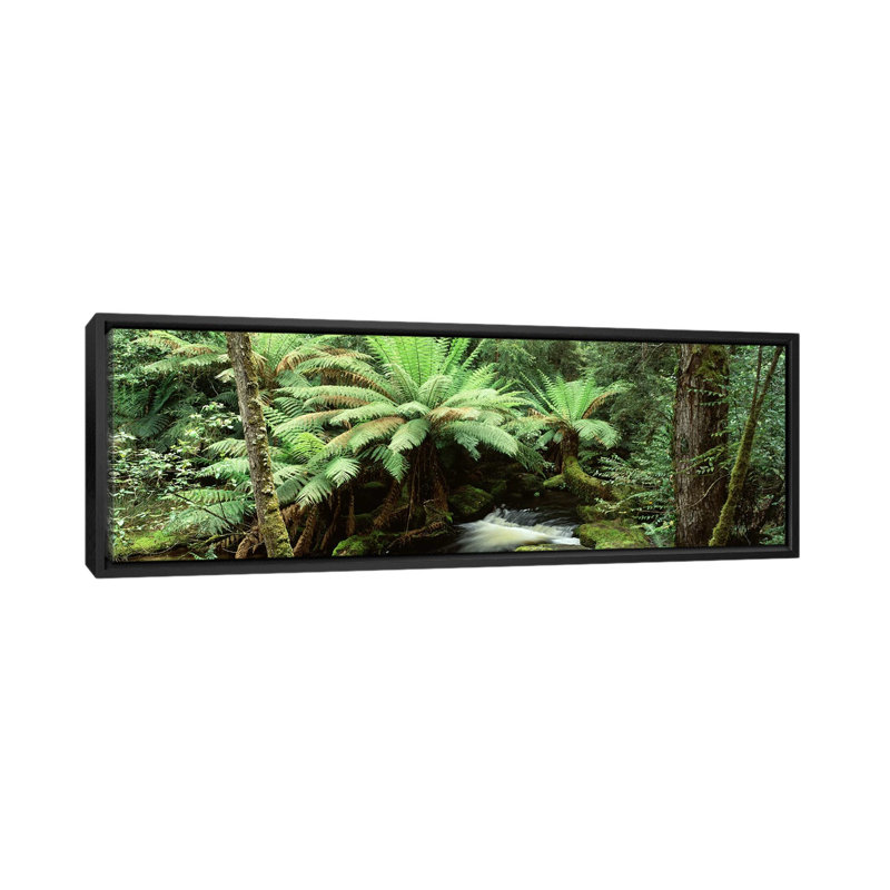 « rainforest landscape, mount field national park, tasmanie, australie », reproduction de photo sur toile