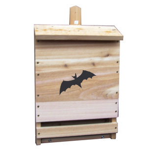 Maison bat à fixation sur une cellule