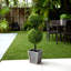 36 plantes