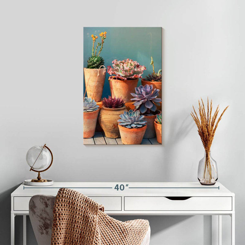 Plante grasse Harnek sur table, H 24 po x l 16 po