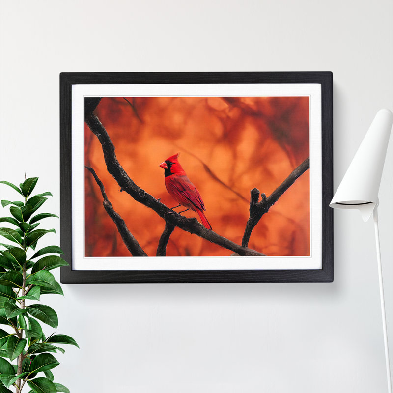 Cardinal Bird Vol.19 - Single Picture Frame Print, 46cm H x 64cm W x 2cm D, Black Framed