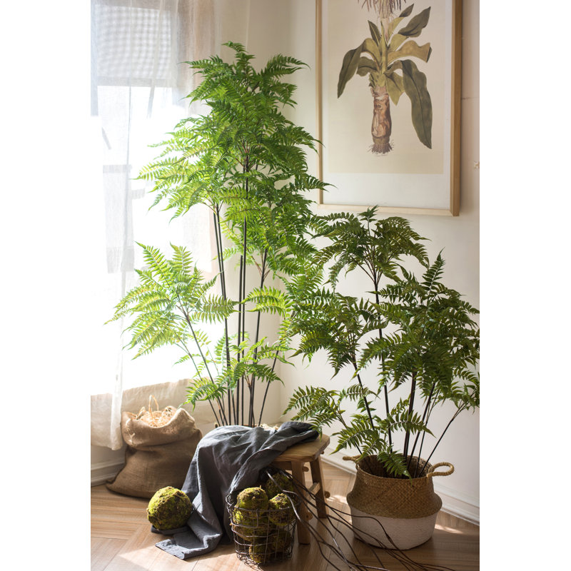 Fougère artificielle en pot, H 74,8 po x l 31,5 po x P 8 po