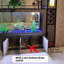 Grand aquarium en verre bleu 47,24 po avec système de filtration-130004277-130004281