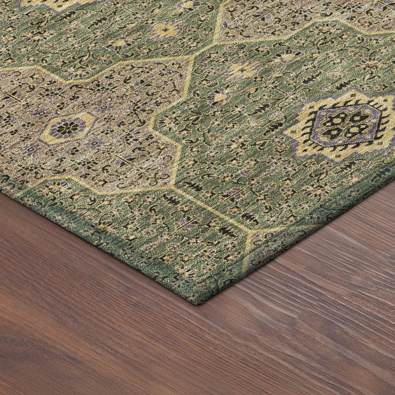 Machine Washable Indoor/Outdoor Chantille ACN2410 Global Rug, Rectangle 10' x 14'