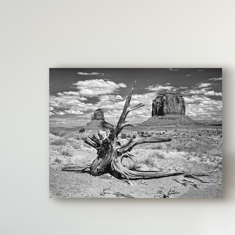 «Black and White Desert View V» par David Drost - reproduction de photo sur toile, H 14 po x l 19 po x P 2 po