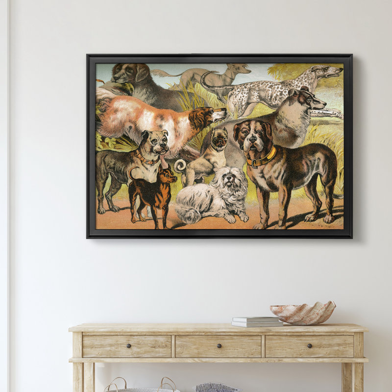 Johnsons Dog Breeds II - Reproduction d'art graphique sur toile encadrée, Noir, H 26,5 po x l 36,5 po x P 1,5 po