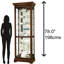 Chesterbrook Lighted Curio Cabinet-73916051
