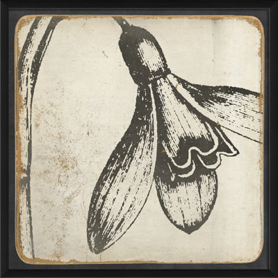 « rétro fleur », reproduction d’art encadrée en noir