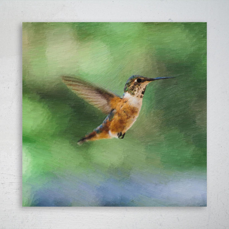 «A Brown Hummingbird Flying», reproduction d'art graphique sur toile tendue, H 32 po x l 32 po