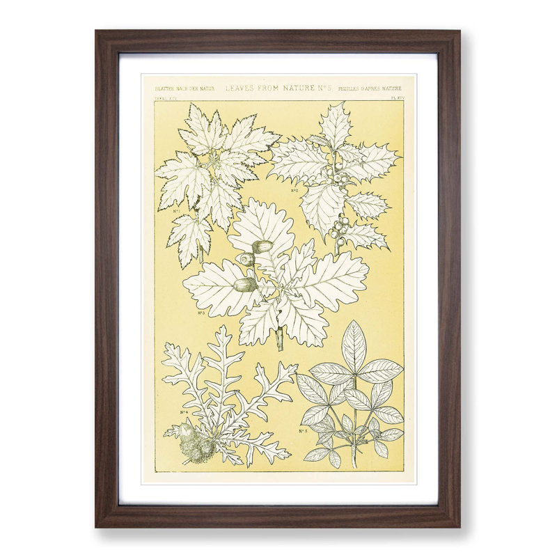 Leaves from Nature No. 5 by Owen Jones - Picture Frame Painting Print, 87cm H x 62cm W x 2cm D, Walnut Framed
