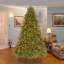 Grande Fir Medium Tree with Clear Lights-1534155277