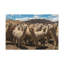 Wall Art on Canvas-1467190508