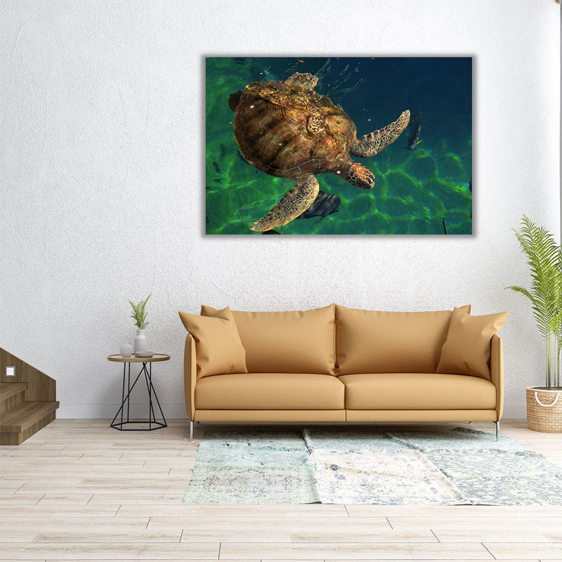 «Aegean Sea Turtles III», reproduction d'art sur toile, H 20 po x l 30 po