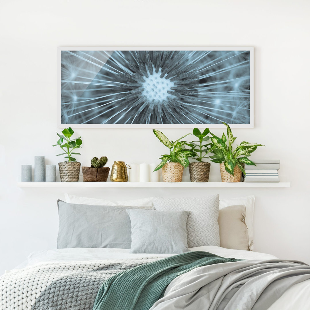 Gerahmtes Poster Blue Tinted Dandelion