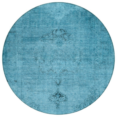 Nayelin Washable Oriental Indoor / Outdoor Rug