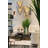 Nerone Coffee Table